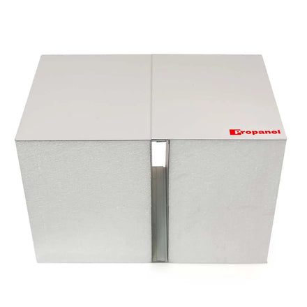 100mm EPS Sandwich Wall Panel for Cold Room Workshop Hotel Prefab Houses Warehouse-Fire Resistant Eco-Friendly Class B1