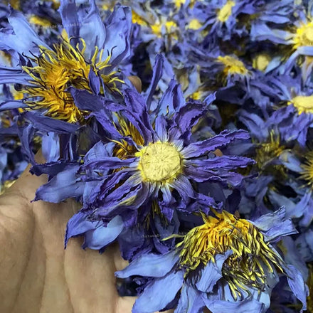 100% EU Food Grade Dried Blue Lotus Flowers Handmade Egyptian Herb Organic Nymphaea Caerulea Tincture Tea Beauty Care Smoking