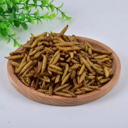 Dried Black Soldier Fly Larvae for Bird Pet Food High Protein BSF
