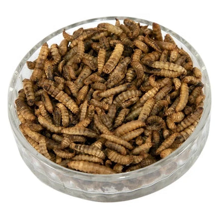 Wholesale Customizable Packaging Dried Black Soldier Fly Larvae