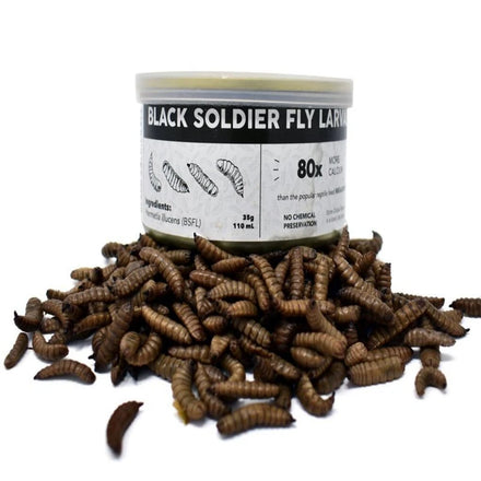 Dried Black Soldier Fly BSF Larvae for Pet Treats Customizable Packaging