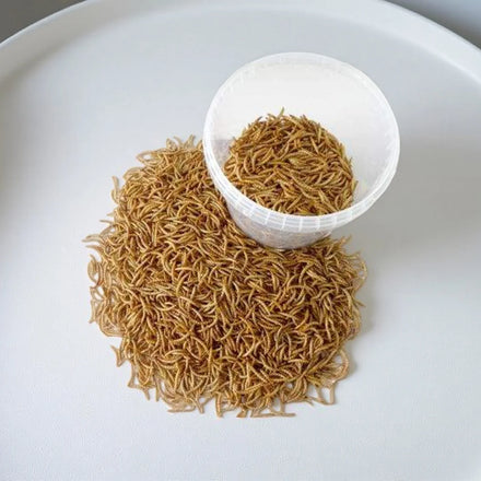 Wholesale Custom-packaged Dried Mealworm Larvae