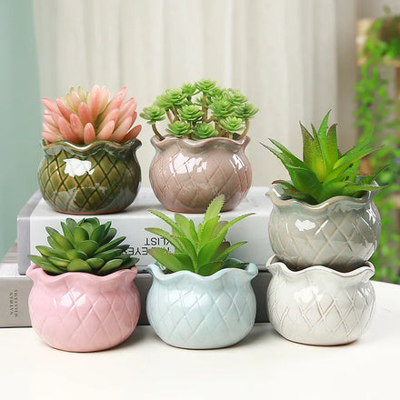 MSH New Design Small Fresh Succulent Flower Pot Green Planter Garden Home Decor