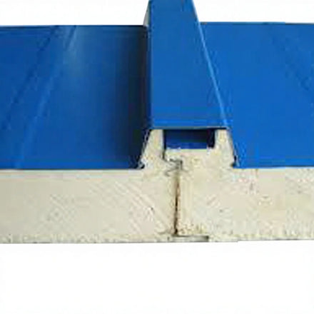 Modern Design Cold Storage Sandwich Panel Durable Metal PU/PIR/Polyurethane Eco-Friendly Cold Room Workshop Seafood Heat