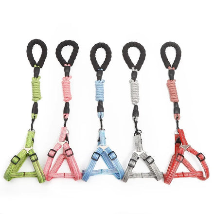 High-quality Blended Pet Traction Set for Dogs. Direct From the Manufacturer. Provides Comfortable Traction for Your Beloved Dog