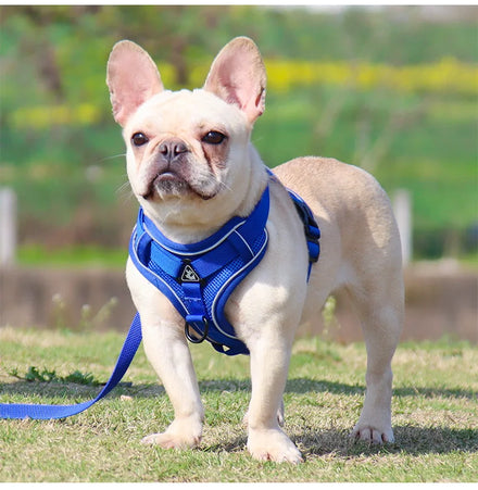 Wholesale Small Dog Harness Safety Reflective Strip Personalized Outdoor Pet Dog Harness