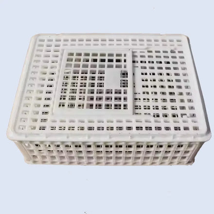 31cm Height Live Chicken Transport Crates Stackable Folding Plastic Crate Turnover Boxes for Chicken Duck Farm