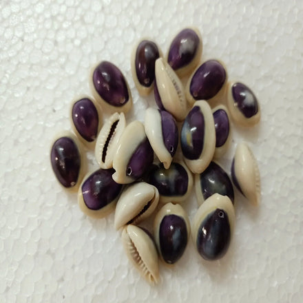 Natural Purple Cowry Sea Shells Bulk Polished Octagon Asscher Cut Cowrie Shell Jewelry Making Home Decor Crafts DIY Accessories