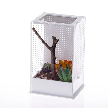 PET Eco-Friendly Small Animal Reptile Tank with Acrylic Sides Enclosure for Wolf Spiders & Tree Frogs Breathable Feature