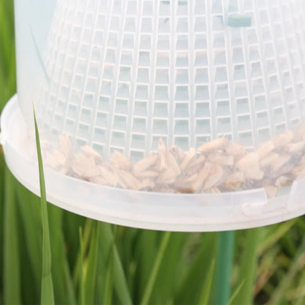 Wheat and Rice Field Trap for Moth Control Customizable Color Funnel Sustainable Plastic Scentless Moth Trap Solid State