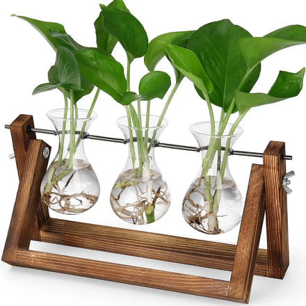 Propagation StationsPlant Terrarium with Retro Wooden Stand Gifts for Plant Lovers Hydroponics Plants Home Office Garden Decor