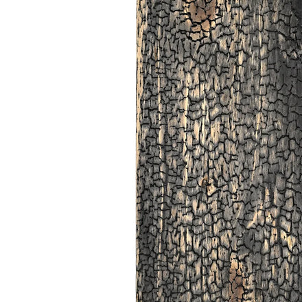 MUMU Stylish Black Pine Wood Wall Panels Knot-Free Design for Commercial and Residential Spaces
