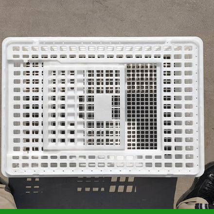 Live Chicken Transport Crates Stackable Folding Plastic Crate Turnover Boxes for Chicken Duck Farm