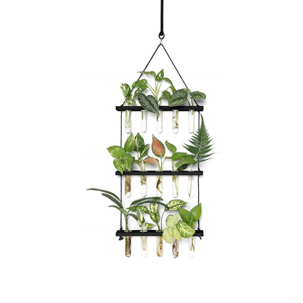 3-Tier Wall Hanging Glass Terrarium Wooden Stand Mini Test Tube Planter for Hydroponic Cuttings Home Office Flower Pots Planters
