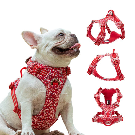 OEM Custom Brand Logo Wholesale Adjustable No Pull Upgraded Adjustable Dog Harness Breathable Fashion Pet Harness Training Vest