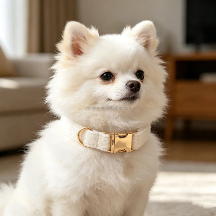 Custom Label Sherpa Dog Collar Luxury Design White Color Metal Buckle Teddy Fleece Sherpa Dog Collar for Pet Accessories