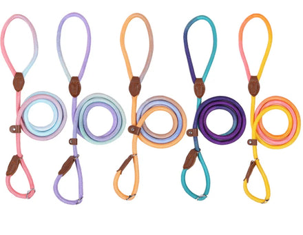 Adjustable Limit Small Retractable Pet Leash Colorful Gradient Rope with Leather Ring for Dog Walking and Training