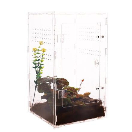 Customized Modern Jumping Spider Acrylic Display Case for Tarantula Pet Reptile Enclosure with Box Packaging