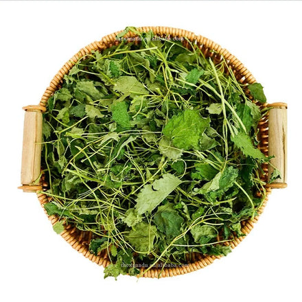 Organic Lemon Balm Freeze Dried Whole Refreshing Leaf Melissa Officinalis for Tea/Essential Oil/Culinary/Cocktail Custom Accept