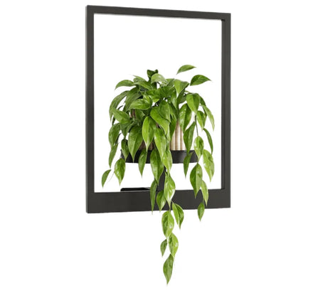 Wall Planters for Indoor Plants Plant Hangers Indoor Outdoor Window Plant Shelves Hanging Plant Holder