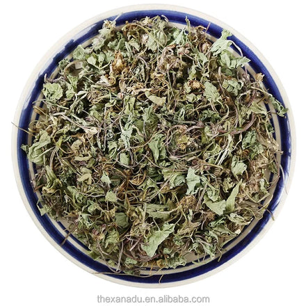 Wild Gotu Kola Raw Herb Dried Ayurvedic Centella Asiatica Leaves Indian Pennywort Extract/Skin Care Use OEM Accept