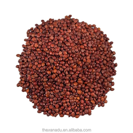 Spina Date Seed 500g/Bag Chinese Sleep Aid Raw Herb Ziziphus Jujuba Var Spinosa Top OEM Tea Bags/Pouch Accept High in Saponins