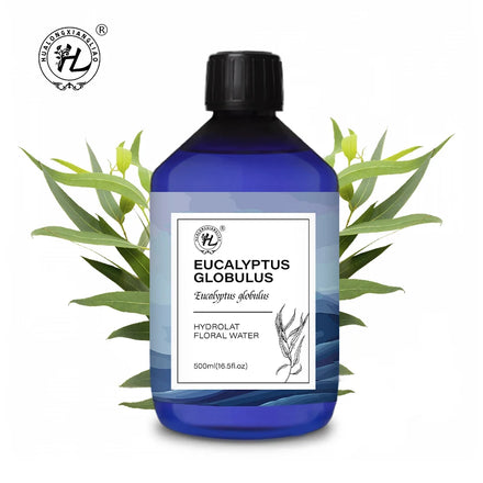 Eucalyptus Globulus Hydrolat - Hydrosol for Skin Diffuser - 100 Pure Natural Floral Water Steam Distilled | OEM 500mL