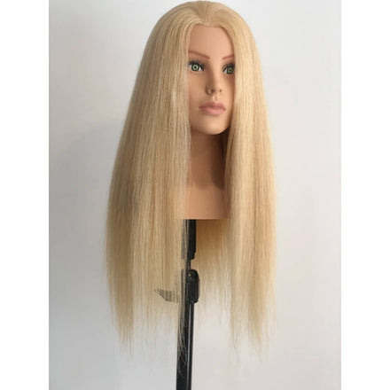 Manufacturer Price 24inch 180g 100% Human Hair Training Head Europe Face Hair Mannequin Head With Shoulder for Hairdresser