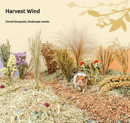 Wholesale Hot-selling All-natural Environmentally Friendly and Highly Nutritious Hamster Food