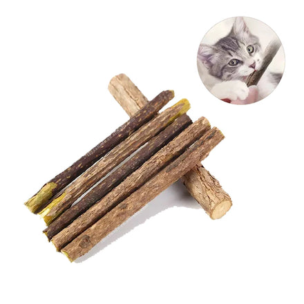 Organic Cat Chewing Stick 12cm 0.4-0.6mm Dia Actinidia Polygama Herbal Silvervine Rod Teeth Clean Dental Care Toy Custom Accept