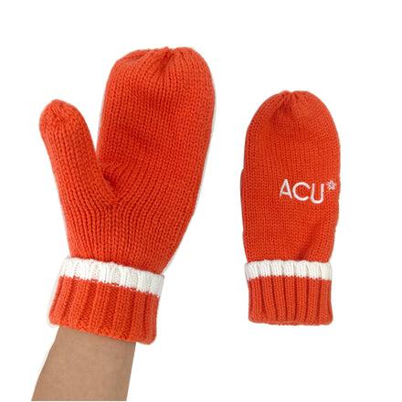 Custom Adult Winter Ski Knitted Design Mitten Gloves