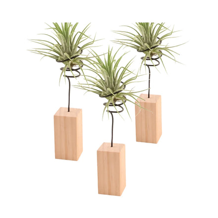 Nordic Minimalist Wood Base Flower Rack Air Plant Bracket with Pineapple Accessories Soilless Desktop Ornament for Home Decor