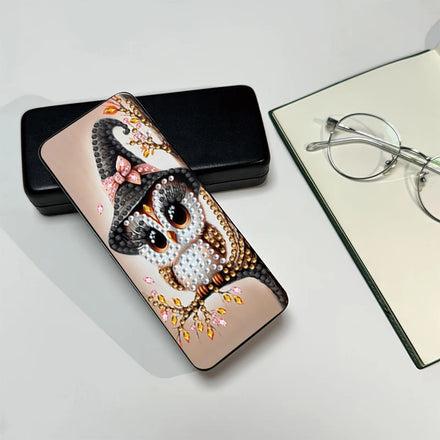 Handmade Printed Cartoon PU Leather Storage Box Sunglasses Adorable Owl Witch Hat Design 5D Eco-Friendly DIY Diamond Painting