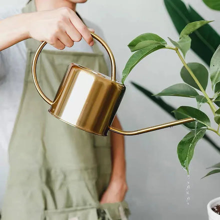 PIONEERA Stainless Steel Watering Can Wooden Handle Long Spout 1.3L Capacity-Durable Lightweight Classic Modern Home Decor
