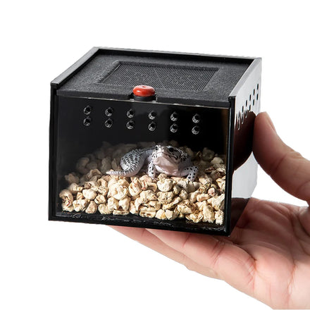 Factory Direct Breathable Acrylic Insect Terrarium for Reptile Breeding Plastic Spider Scorpion Lizard Snake Beetle Button