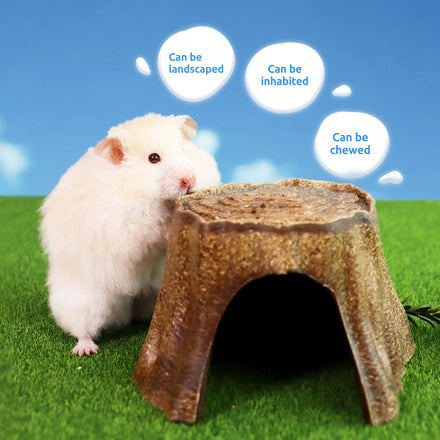Original Design Natural Carrot and Pumpkin Ingredients High Nutritional Chewable Hamster Hide