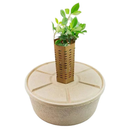 Eco-Friendly Paper Pulp Tree Watering Basin Biodegradable Garden Protector for Seedling Growth Irrigation with Cover