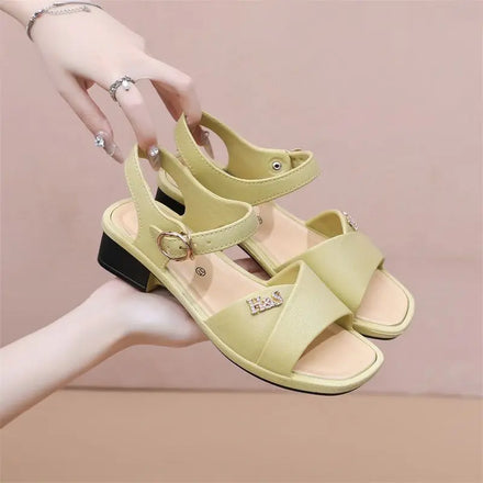 Women's PVC Designer Summer Beach Sandals Slide Wholesale Hollow Breathable Mid-heel Soft Thick Sole Waterproof Shoes for Women
