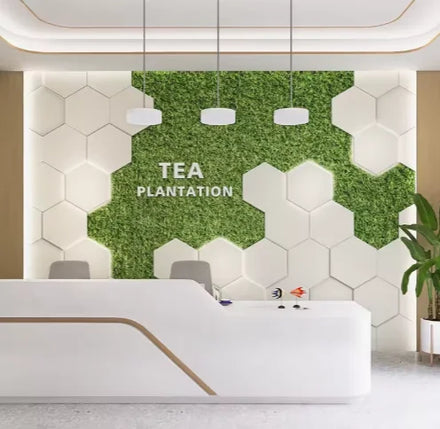 Office Extension Space 3d Wallpaper Shop Decoration Gym Company Front Desk Green Plant Wallpaper Videos Wallpaper bar Wall