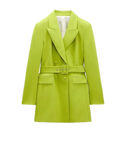 2025 Autumn New Women's Long Coat Belt Single Breasted Trench Jacket Cotton-Filled Outerwear for Leisure Europe America Style