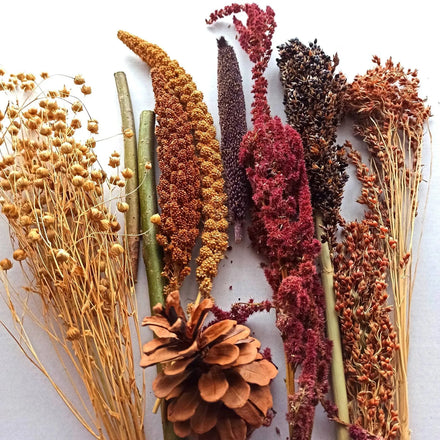 Natural Plant Dried Flower Materials for Edible Hamster Sprays Decorations
