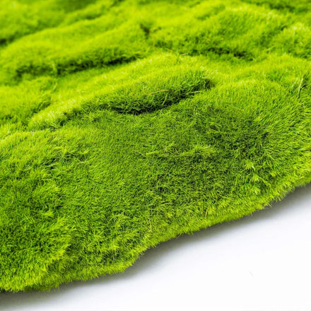 Natural Looking Plastic Artificial Moss Panel for Indoor/Outdoor Decoration Eco-Friendly Landscaping & Background Design