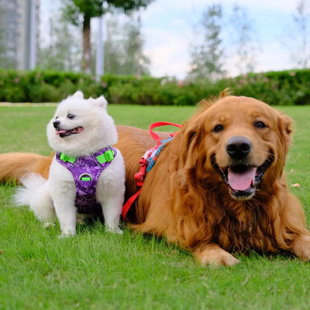 Truelove Wholesale Nylon Reflective Soft Pet Harness Travel Breathable Adjustable Safety Luxury Dog Walking Harness with Light