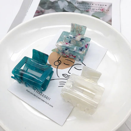 Korean Version of the Fashion Girl Temperament Hair Claw Back of the Head Clip Simple Geometric Plate Hair Claw Clip