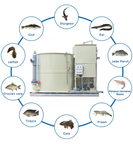 QihangRAS Aquaponics System for Fish and Vegetable Indoor Mini Ras Systems Fish Farming Aquaculture Equipment All in One