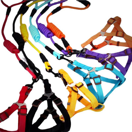 Best Selling Pet EVA Foam Handle Nylon Rope Climbing Walking Dog Leash for Small Medium Large Dog