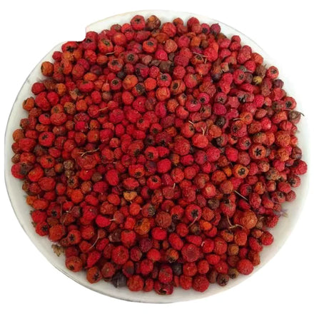 Raw Dried Pyracantha Crenatoserrata Fruits Firethorn Berries for Sale