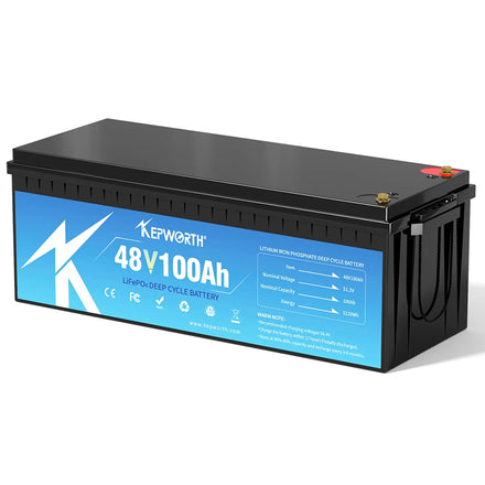EU/USA/CA Stock 48V 100Ah Lifepo4 Battery Energy Storage 5120Wh With BMS for Marine Camping Golf Cart With Bluetooth 51.2v 100Ah