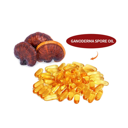 OEM/ODM Premium Reishi Mushroom Spore Oil Capsules Mushroom