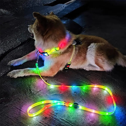 LED Light up Dog Leash and Collar Waterproof USB Rechargeable Flashing Glow in the Dark Dog Leash with Luminous Flashlight
